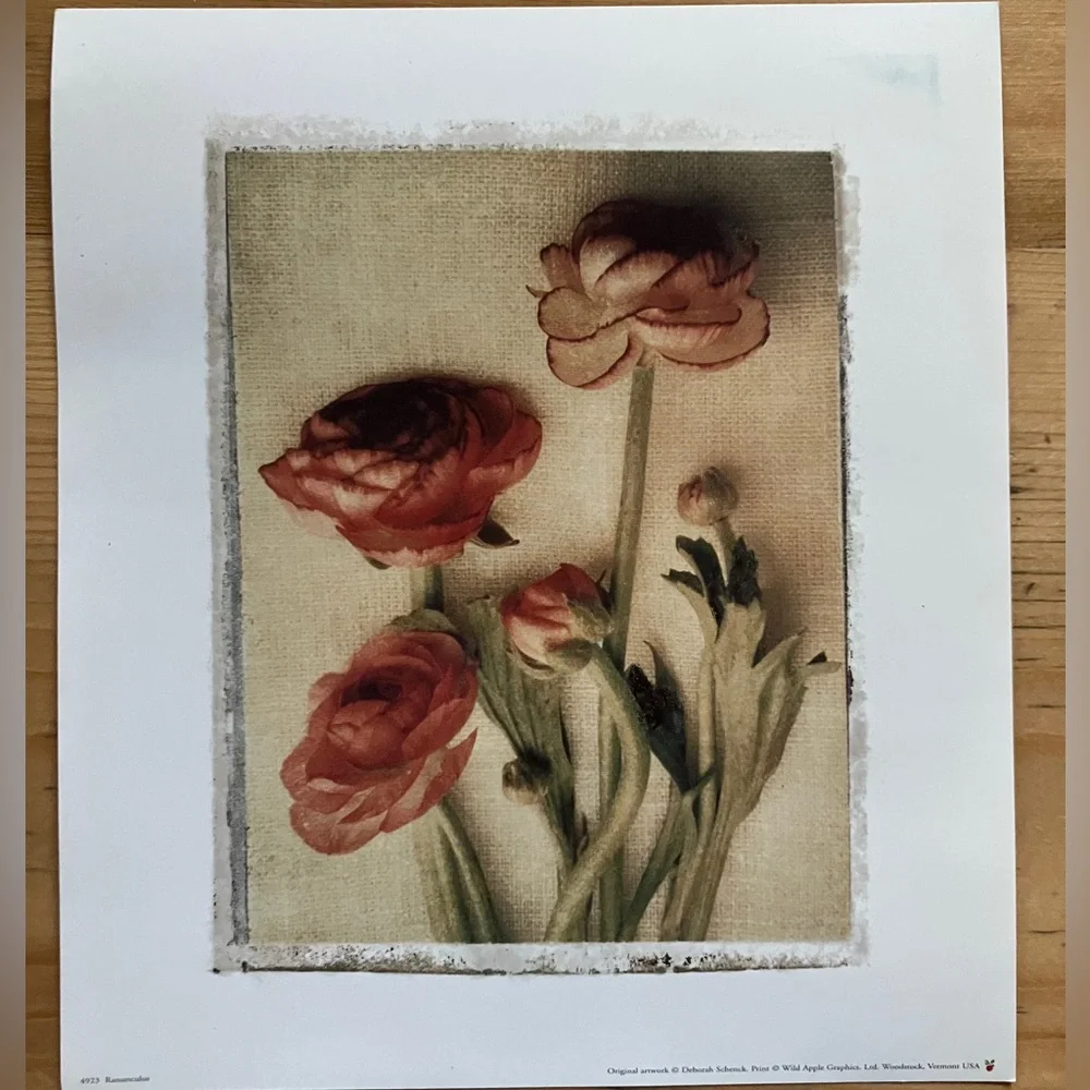 Wild Apple Graphics Artwork Prints